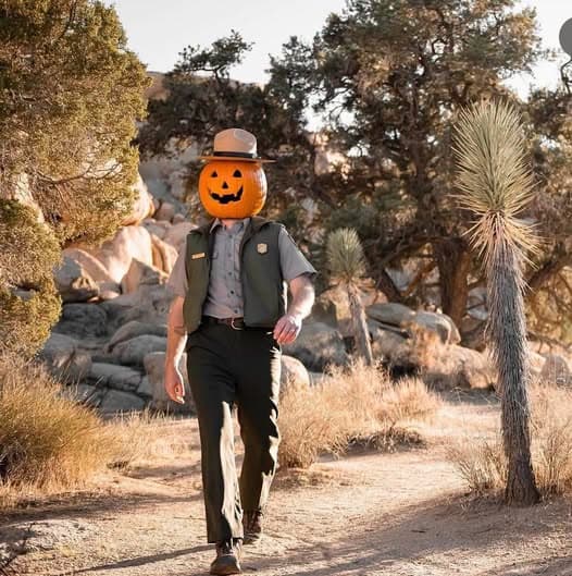 Welcome Fall: National Park Activities and Seasonal Happenings