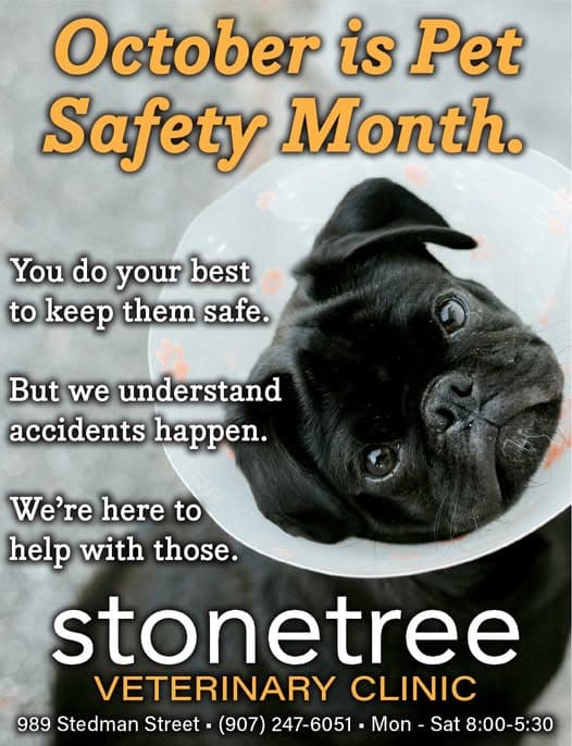 October is Pet Safety Month