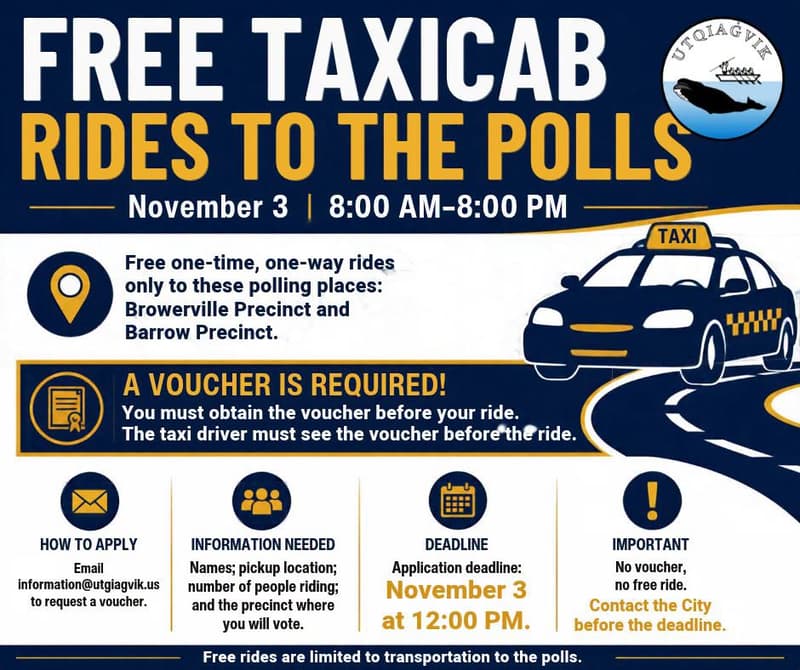 Free Taxicab Rides to the Polls