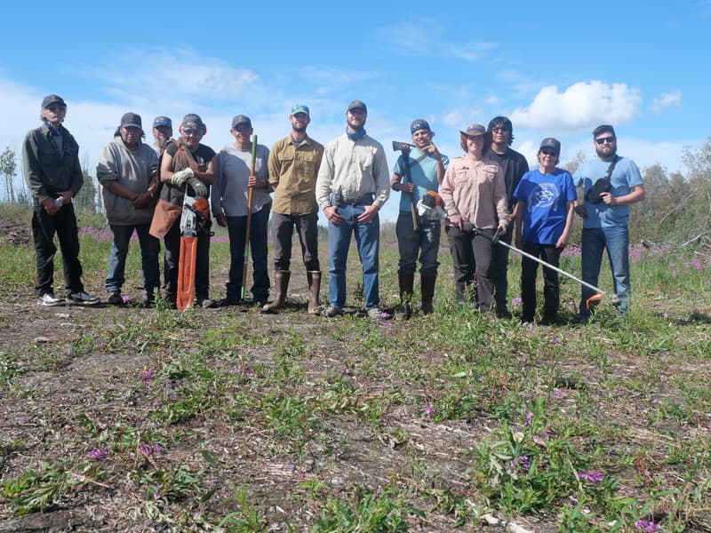 Yukon Flats Wood Bison Soft Release Pen Project Update (1/3)