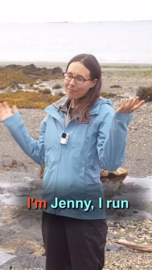 Miss the minus tides of this summer in Ketchikan?