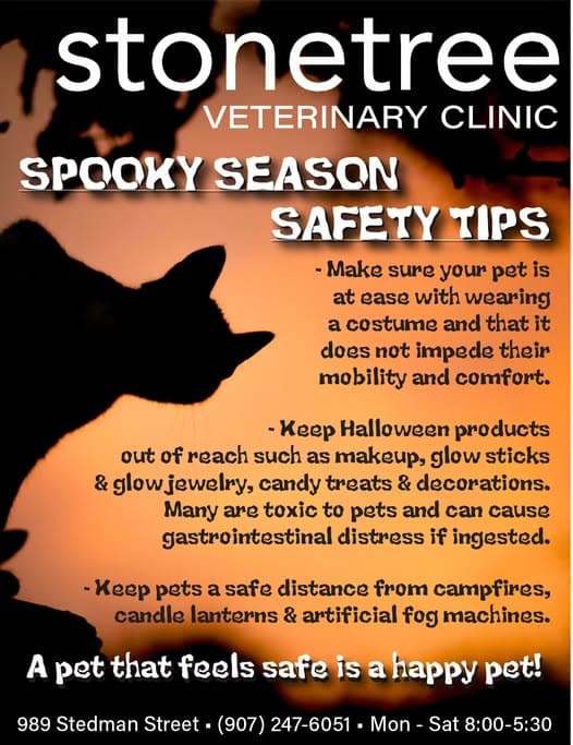 Spooky Season Pet Safety Tips