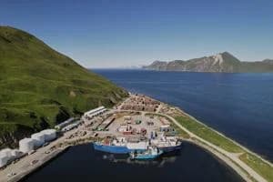 Alaska Trawling Fish Collapse