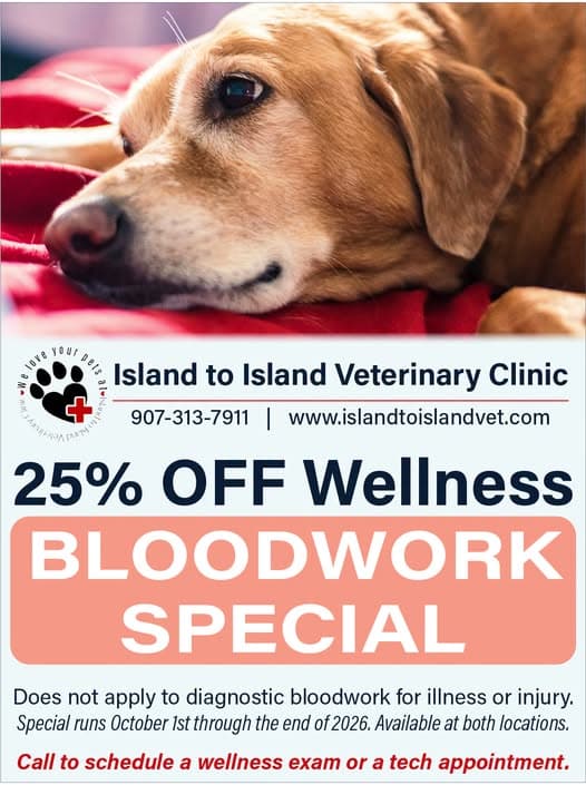 25% Off Wellness Bloodwork Special