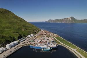 The fish behind America's fish sticks is fueling a fight over trawling in Alaska