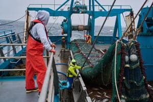 F/V Progress