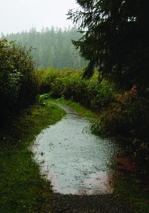Ward Lake Flooding and Rainy Weather Forecast