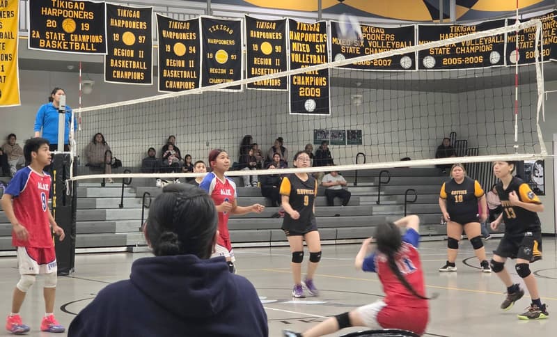 Volleyball Game (3/3)