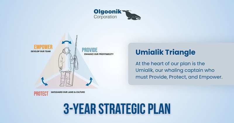 Olgoonik Corporation's 3-Year Strategic Plan