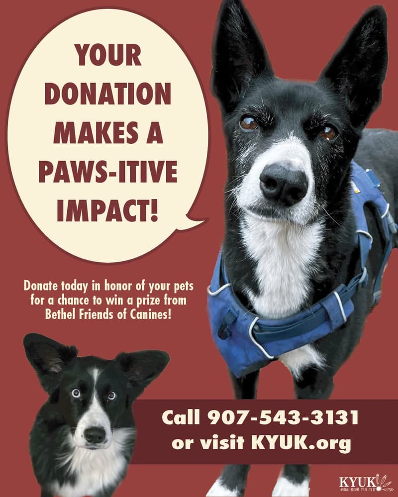 KYUK Pet Day Donation Drive