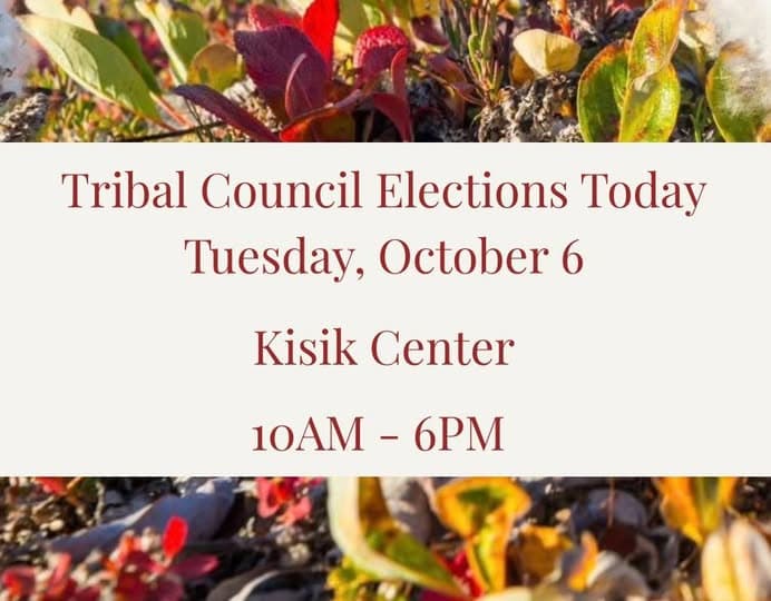 Tribal Council Elections