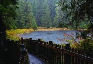 Ward Lake